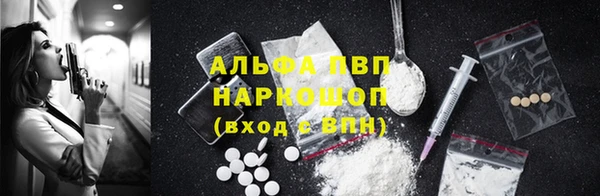 прущие грибы Сатка