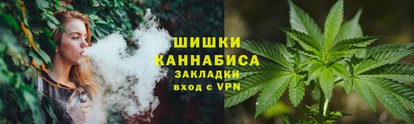 прущие грибы Сатка