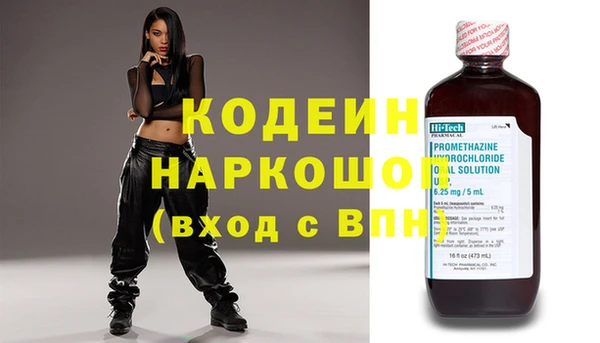 дурь Алексин