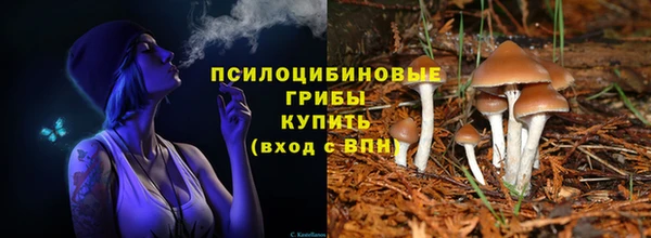дурь Алексин