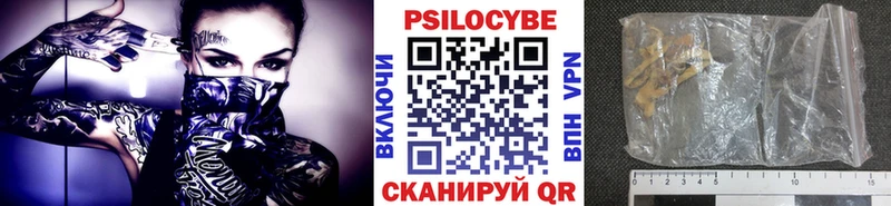 где купить   Грязовец  Псилоцибиновые грибы мухоморы 
